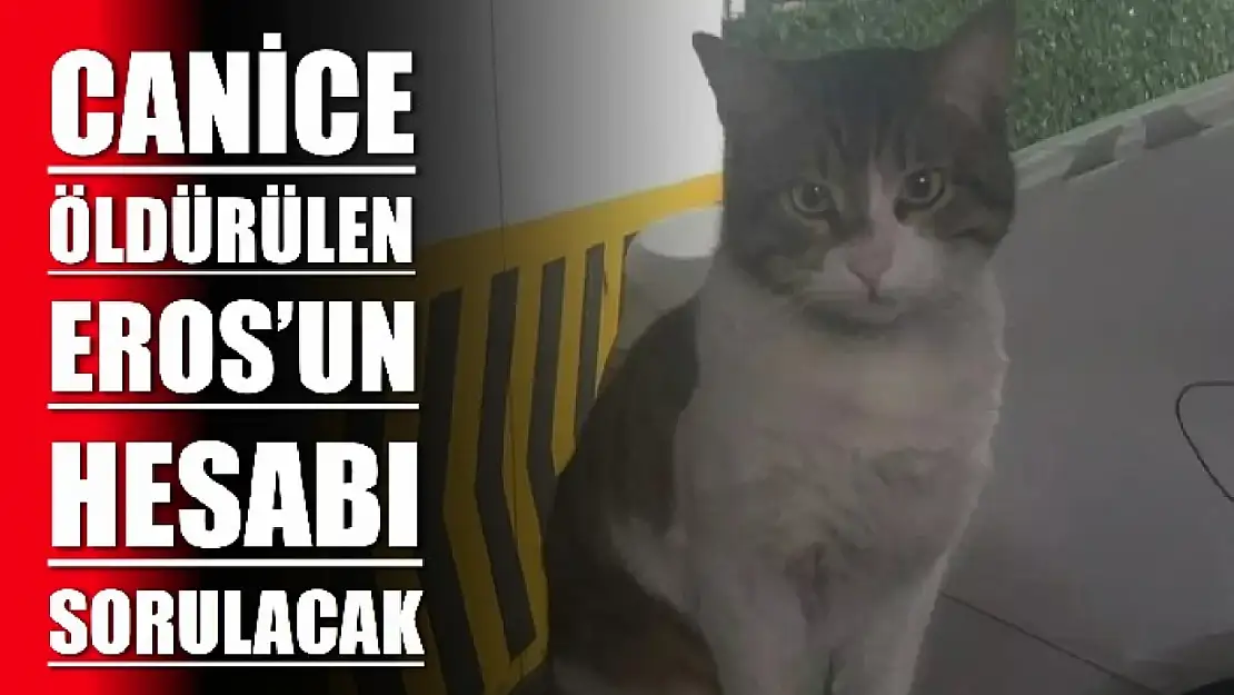 Cani sanık yeniden yargılanacak