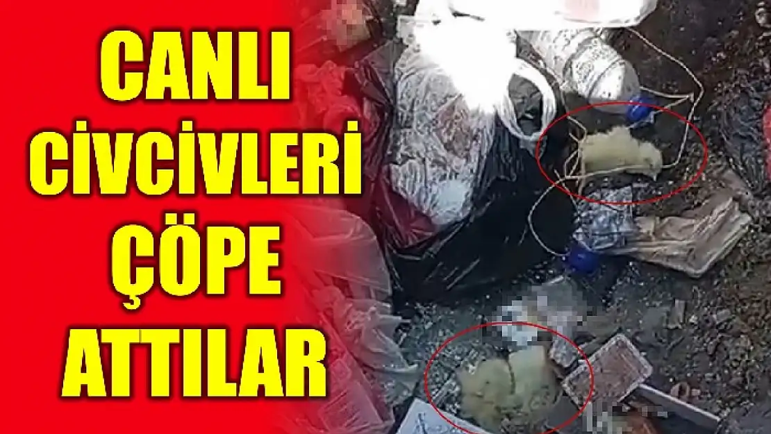 Bu nasıl insanlık