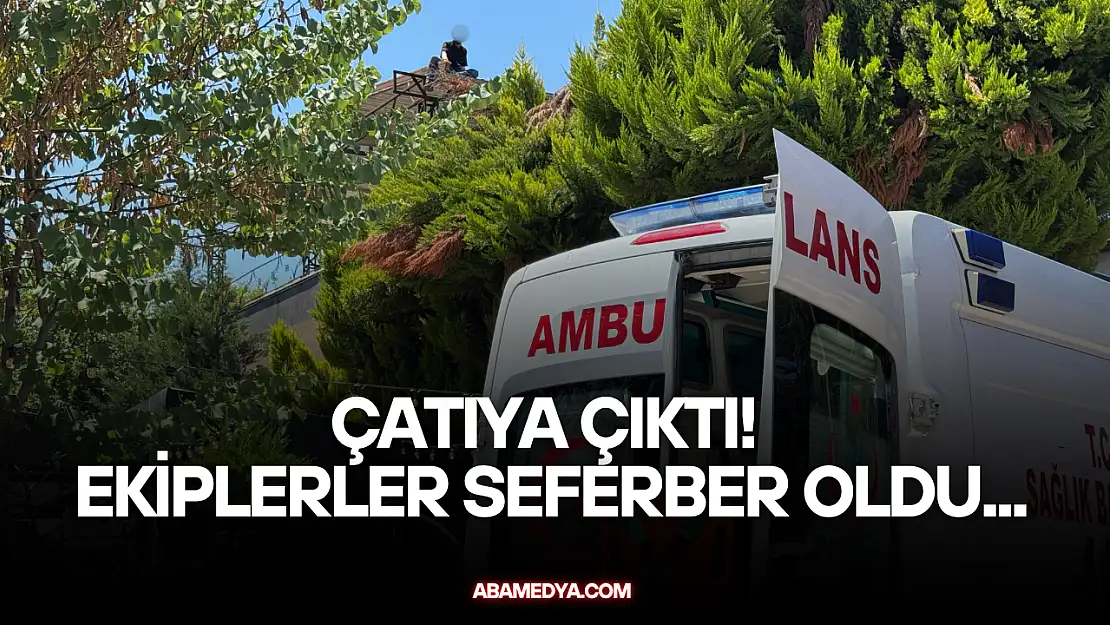 Çatıya çıktı! Ekiplerler seferber oldu...