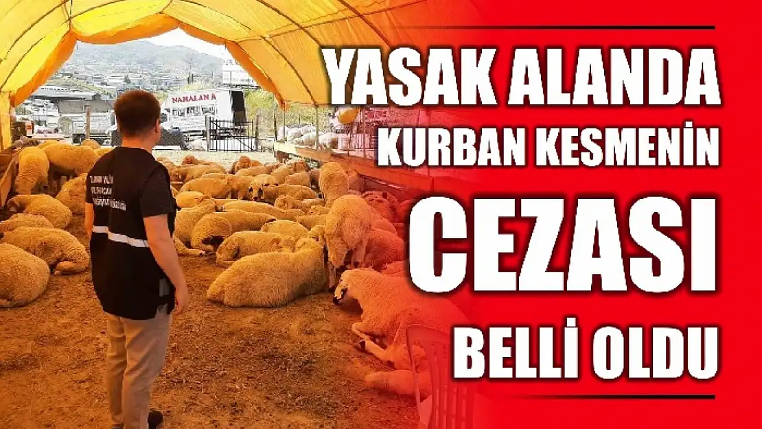 Cezası çok büyük