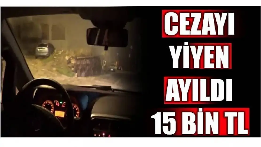 CEZAYI YİYEN AYILDI!