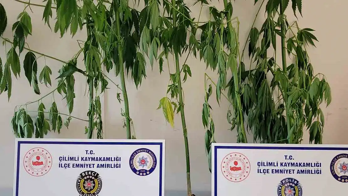 Çilimli'de polis uyuşturucuya geçit vermiyor