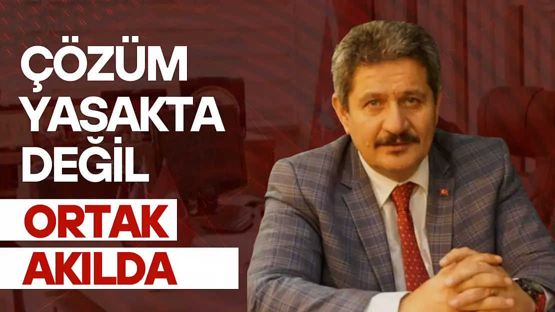 Çözüm yasakta değil, ortak akılda