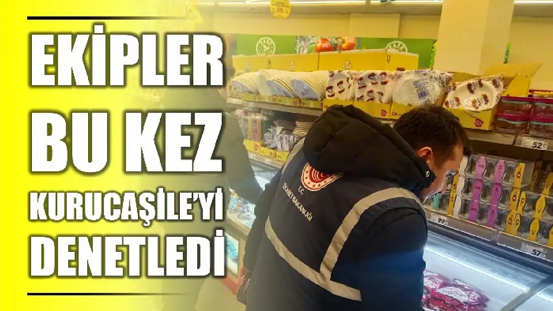 Denetimler aralıksız sürüyor