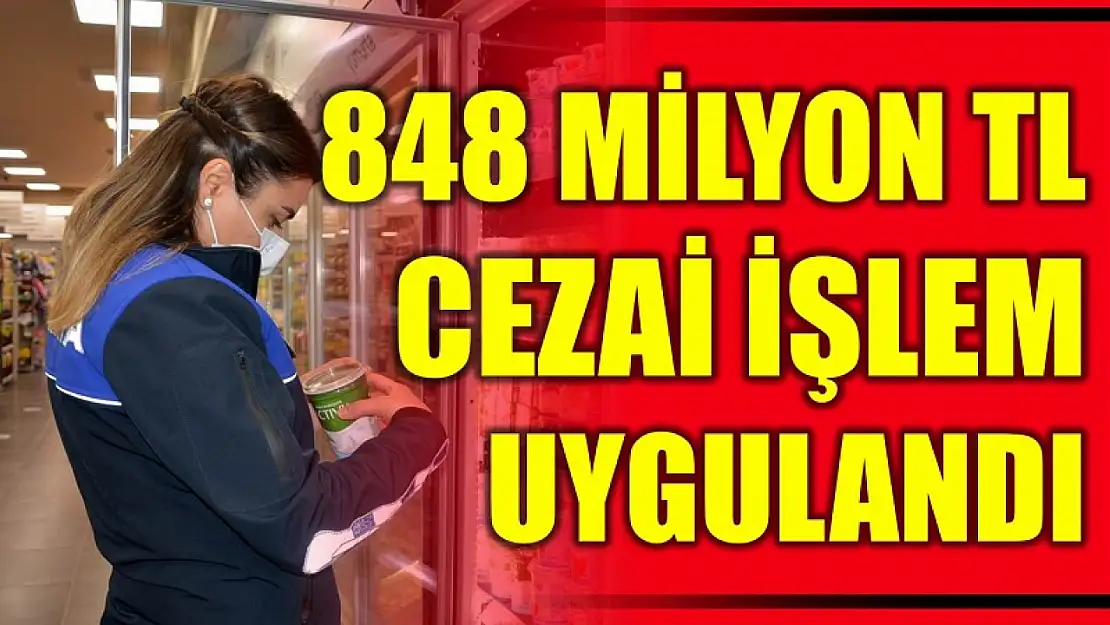 Denetlenen firmalara 848 milyon lira ceza