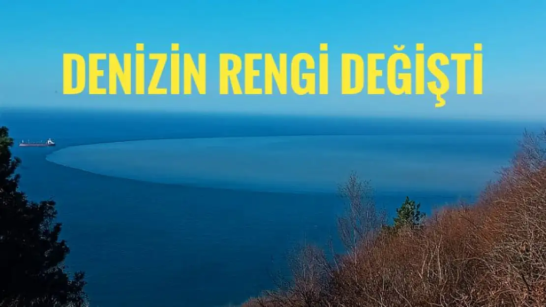 Denizin rengi değişti