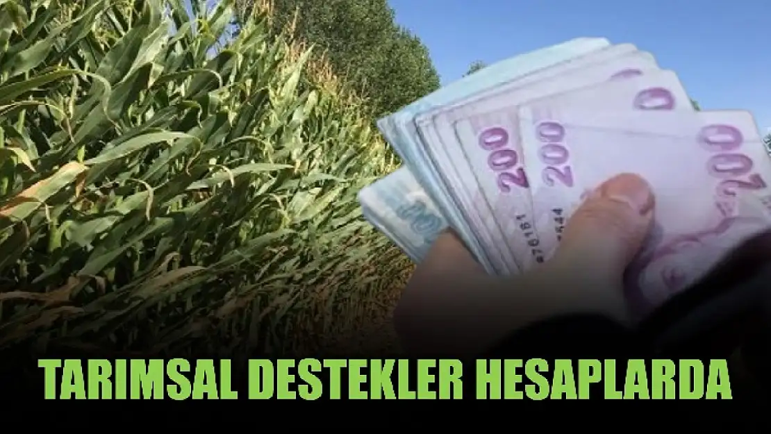 Destek bekleyenlere müjde