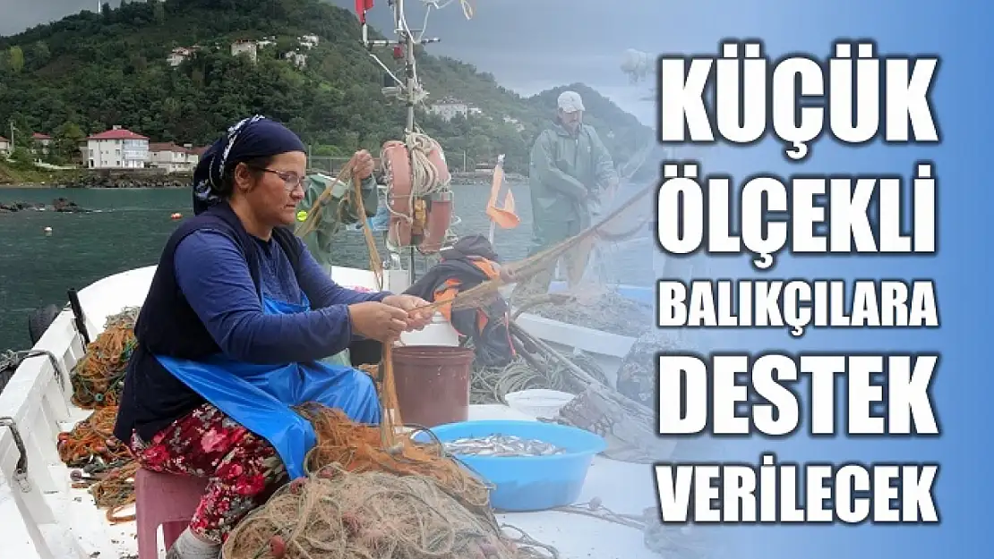 Destek oranları belli oldu