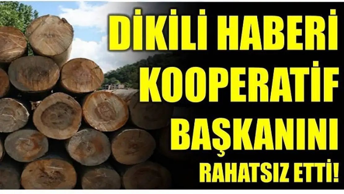 DİKİLİ HABERİMİZ HANGİ BAŞKANI RAHATSIZ ETTİ!