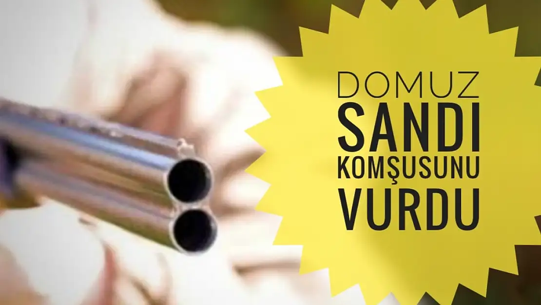Domuz sandı komşusunu vurdu