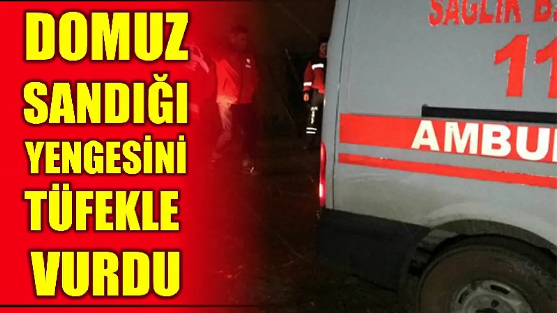 Domuz zannetti yengesini tüfekle vurdu