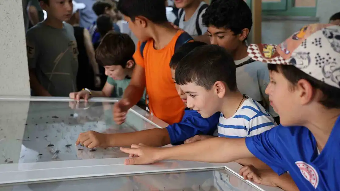 Dondurulmuş hayvan müzesine büyük ilgi