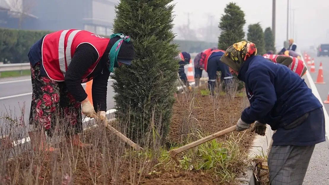 Düzce'de 14 bine yakın bitki dikildi