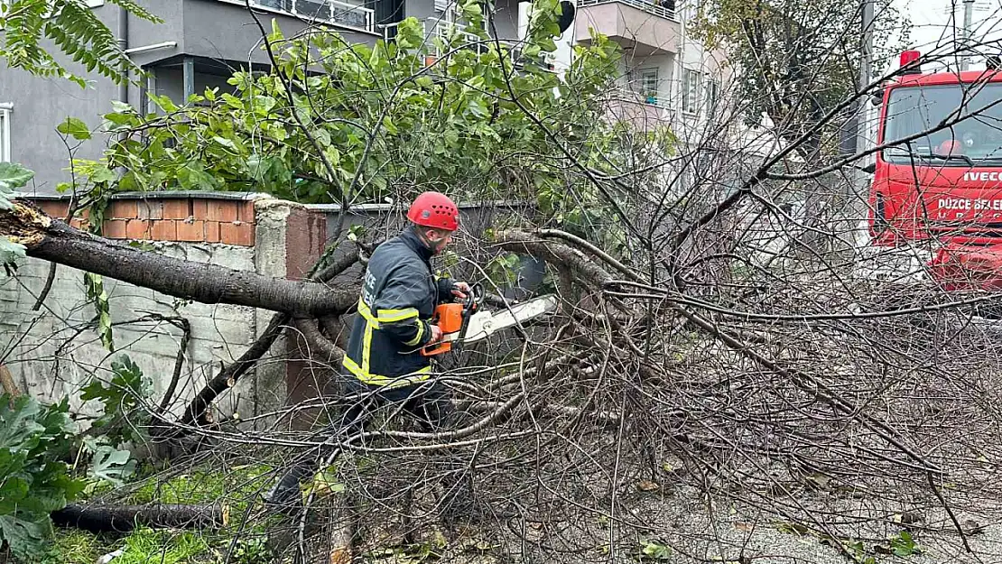 Düzce'de fırtına ile mücadele devam ediyor