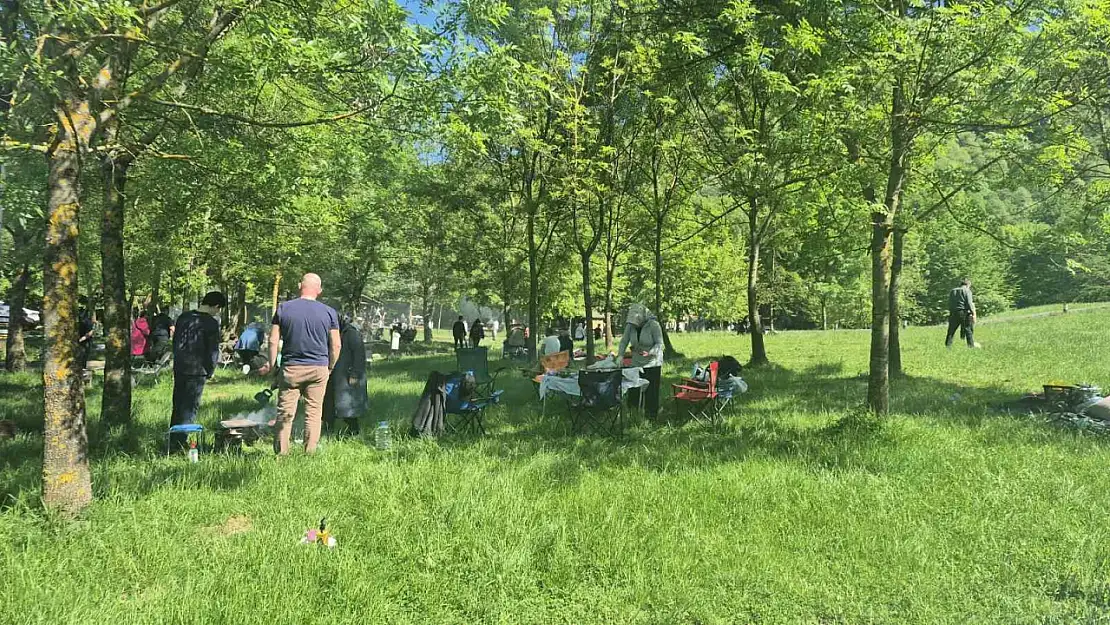 Düzce'de güneşi görenler soluğu mesire alanlarında aldı