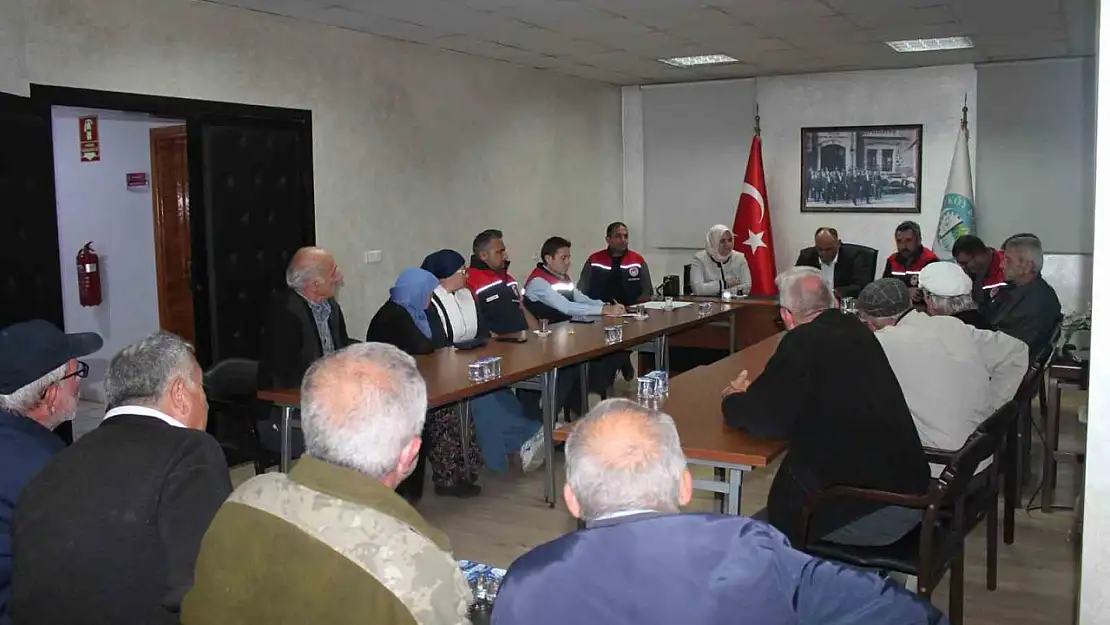 Düzce'de kahverengi kokarcayla mücadele sürüyor