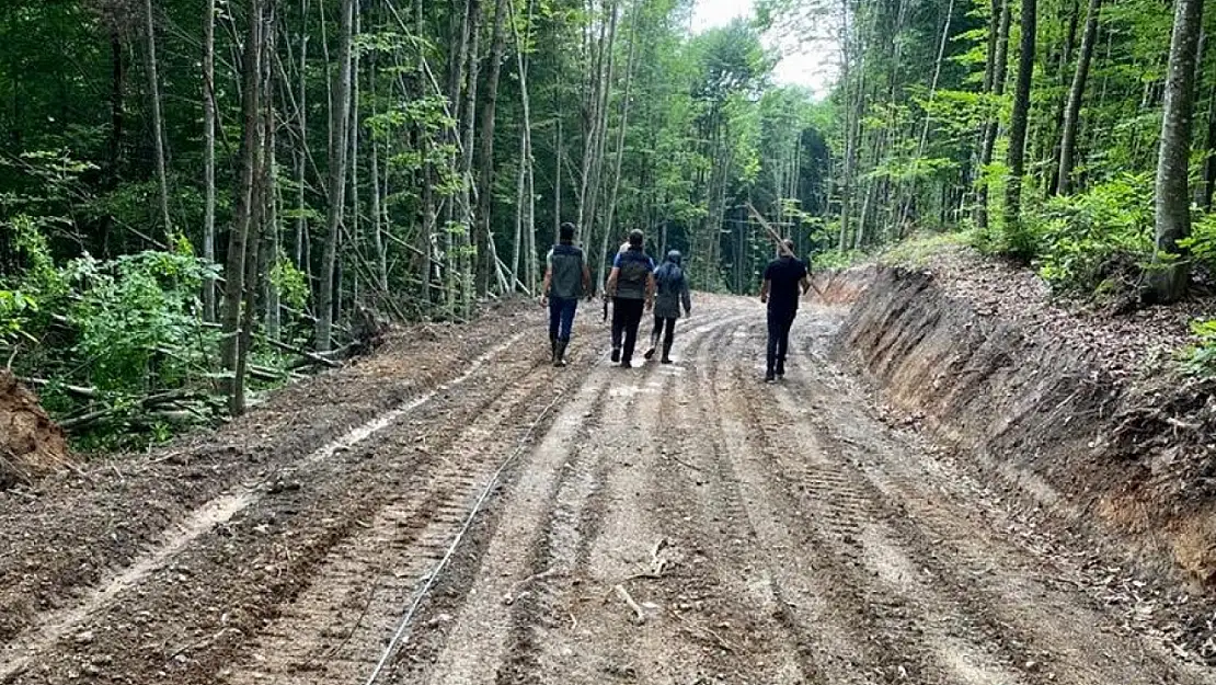 Düzce'de yeni yol çalışmaları tüm hızıyla devam ediyor