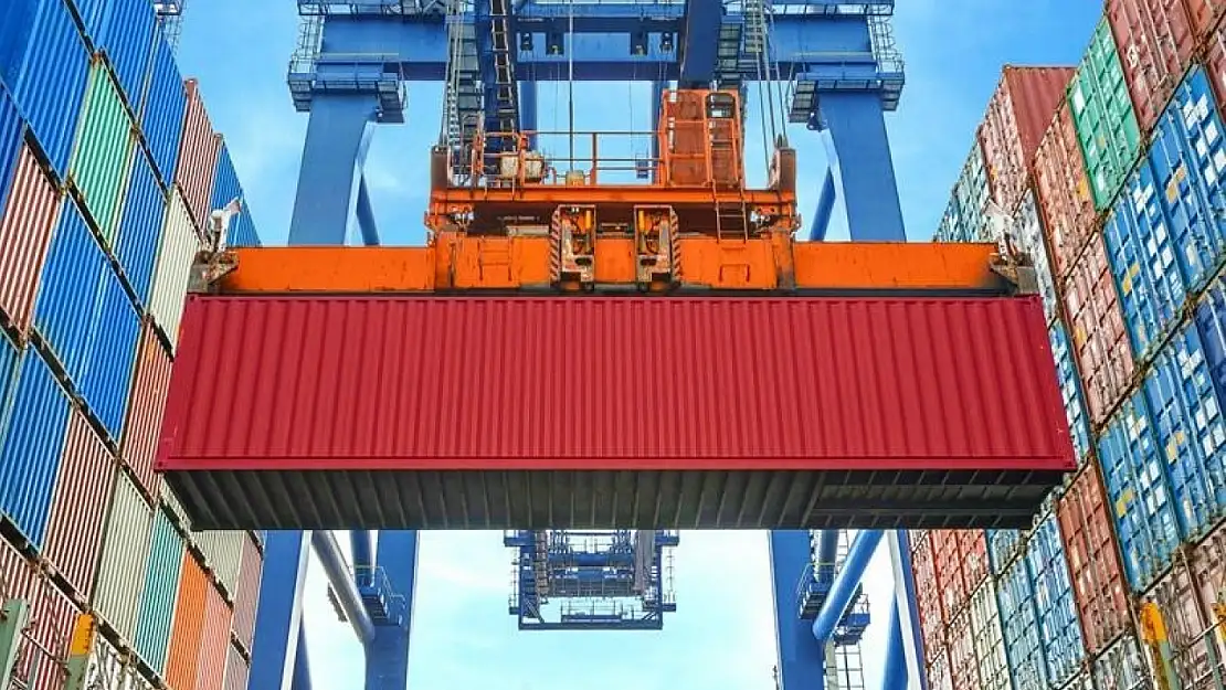 Düzce'den 8 bin 99,5 ton orman ürünü ihraç edildi