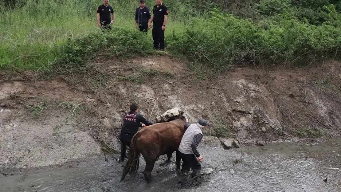 Düzce itfaiyesi 857 olaya müdahale etti