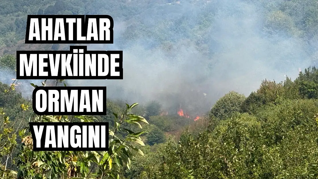 Ekipler alarma geçti