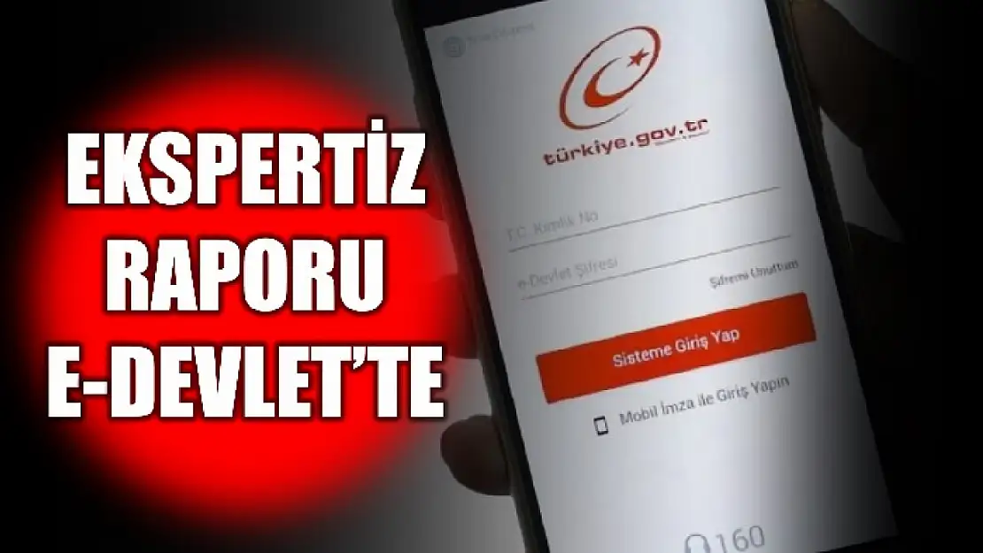 Eksper raporları e-Devlet sistemine yüklendi