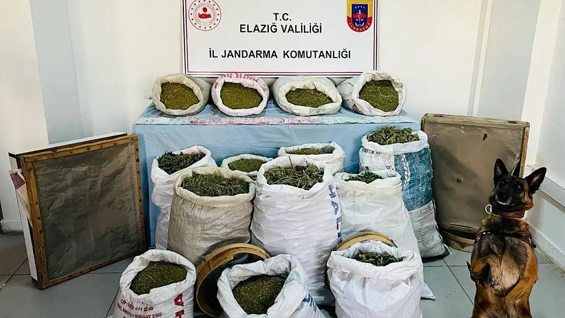 Jandarma operasyonunda 241 kilo esrar ele geçirildi