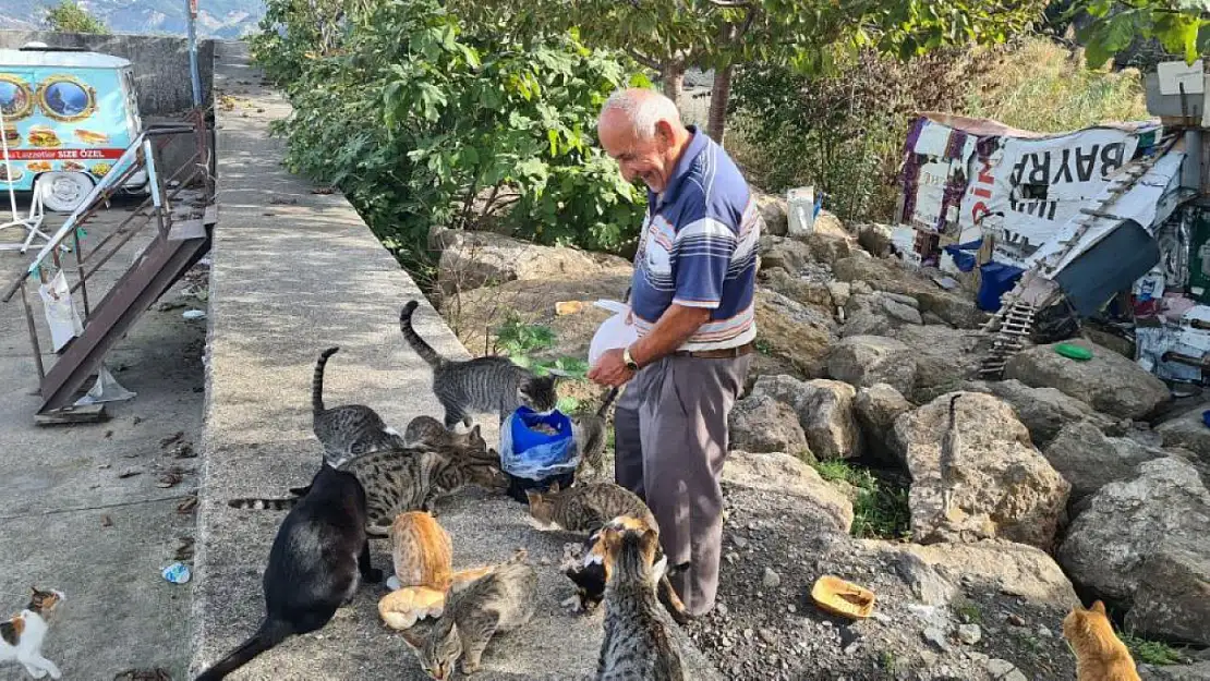 Emekli işçi maaşını kediler için harcıyor