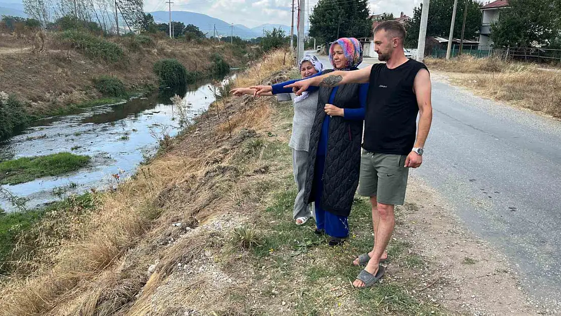 Tavuk firmasının pisliği, hamile kadını hastanelik etti