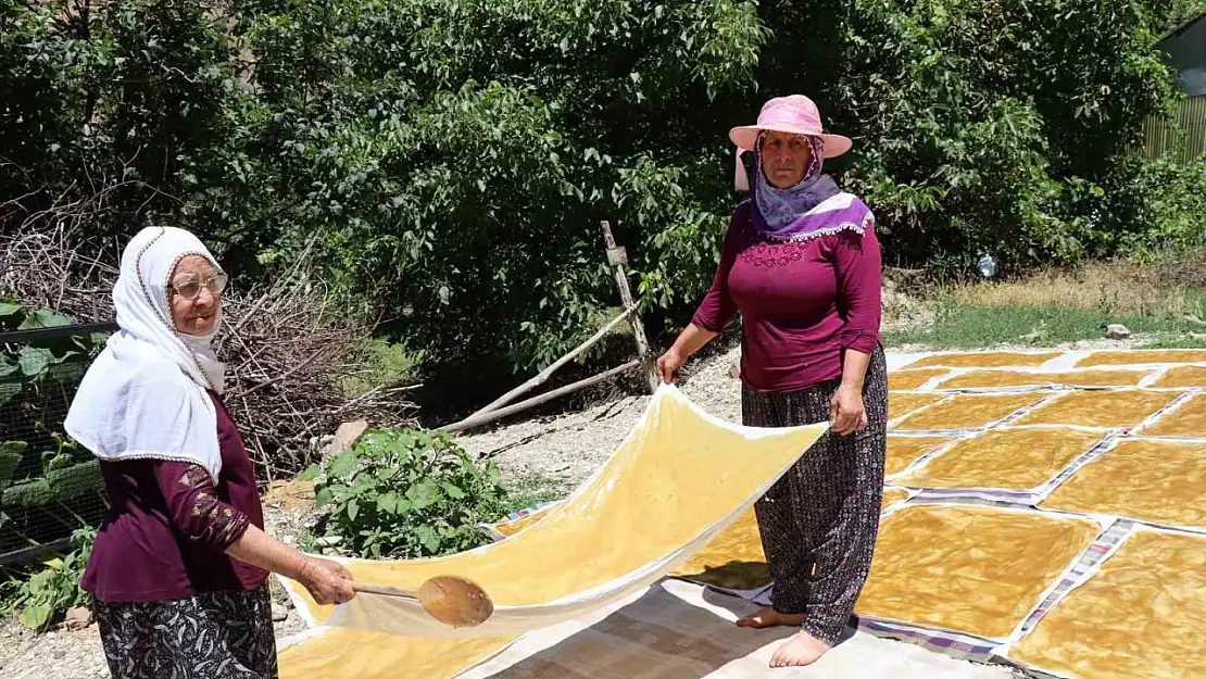 Karnavas dut pestili yapımı başladı