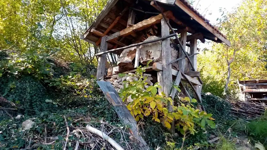 Bahçeye girdi 40 kovan arıya zarar verdi