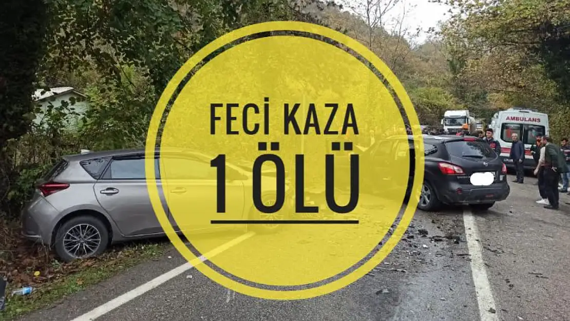 Feci kaza, 1 ölü 5 yaralı