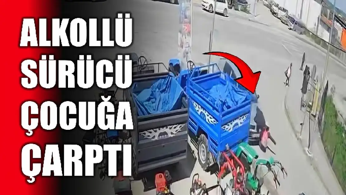 Feci kaza