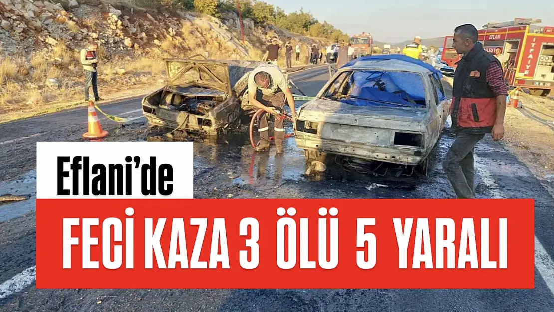 Feci kazada 3 kişi öldü