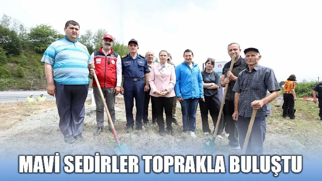 Fidan dikim etkinliği düzenlendi