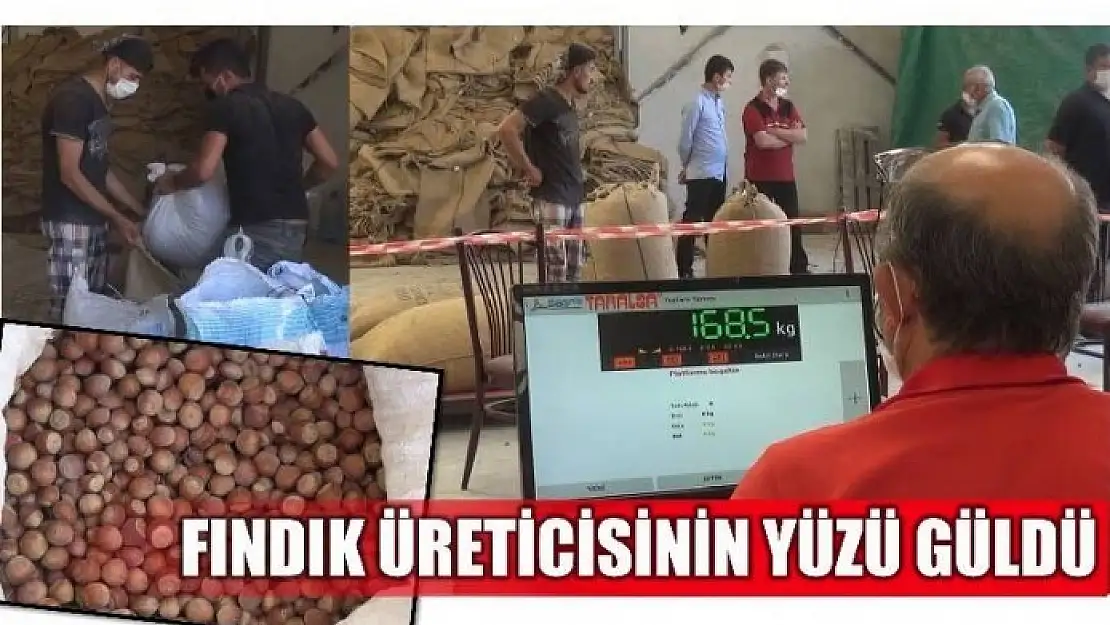 FINDIK ÜRETİCİSİNİN YÜZÜ GÜLDÜ