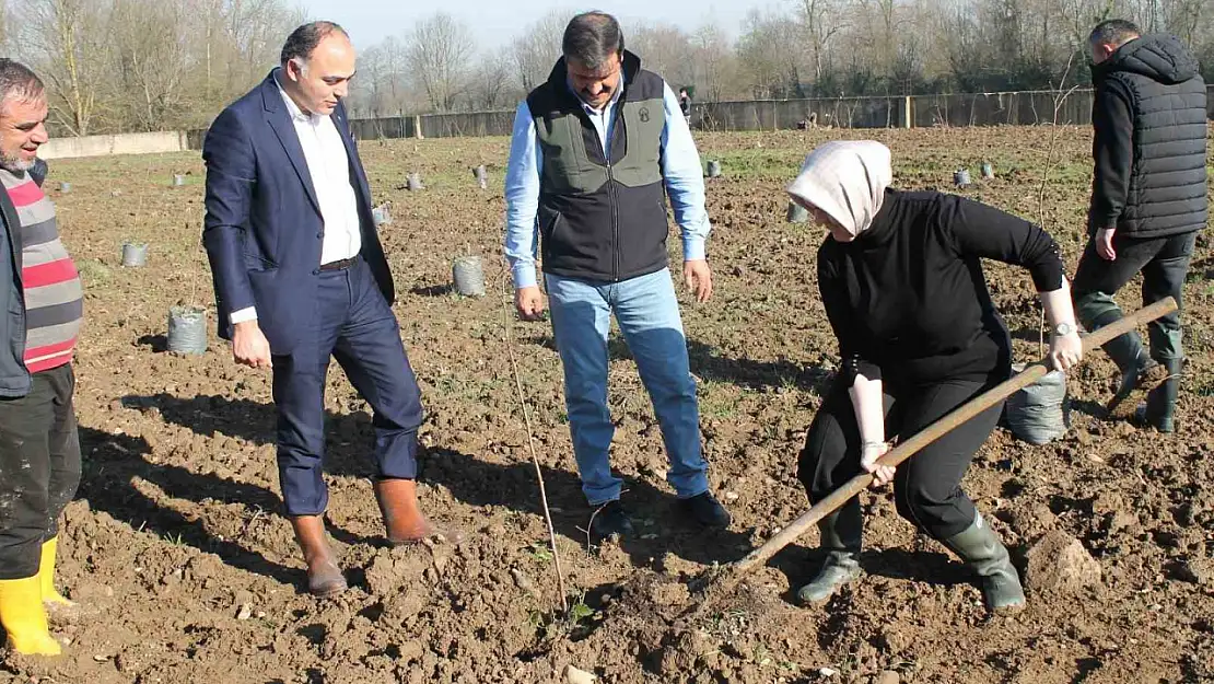 Fındıkta verim ve kalite artıracak proje