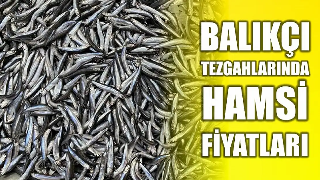 Fırtına sonrası balık fiyatları yükseldi