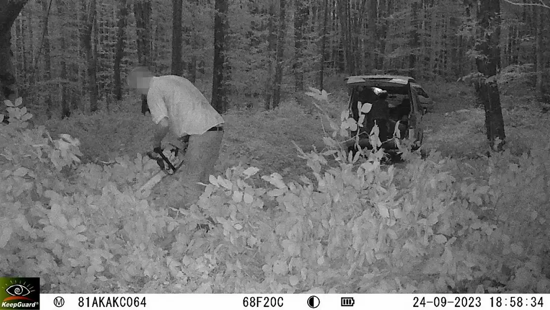 Orman kaçakçıları fotokapana takıldı görüntüledi