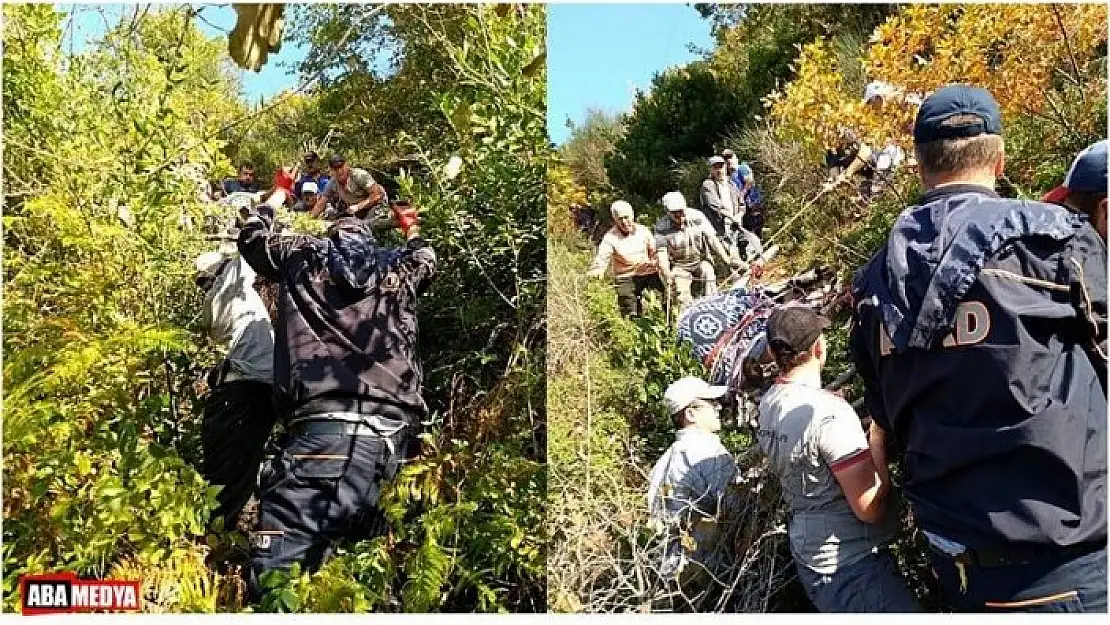 GEBE İNEK İÇİN ODUNLARDAN SEDYE YAPILDI