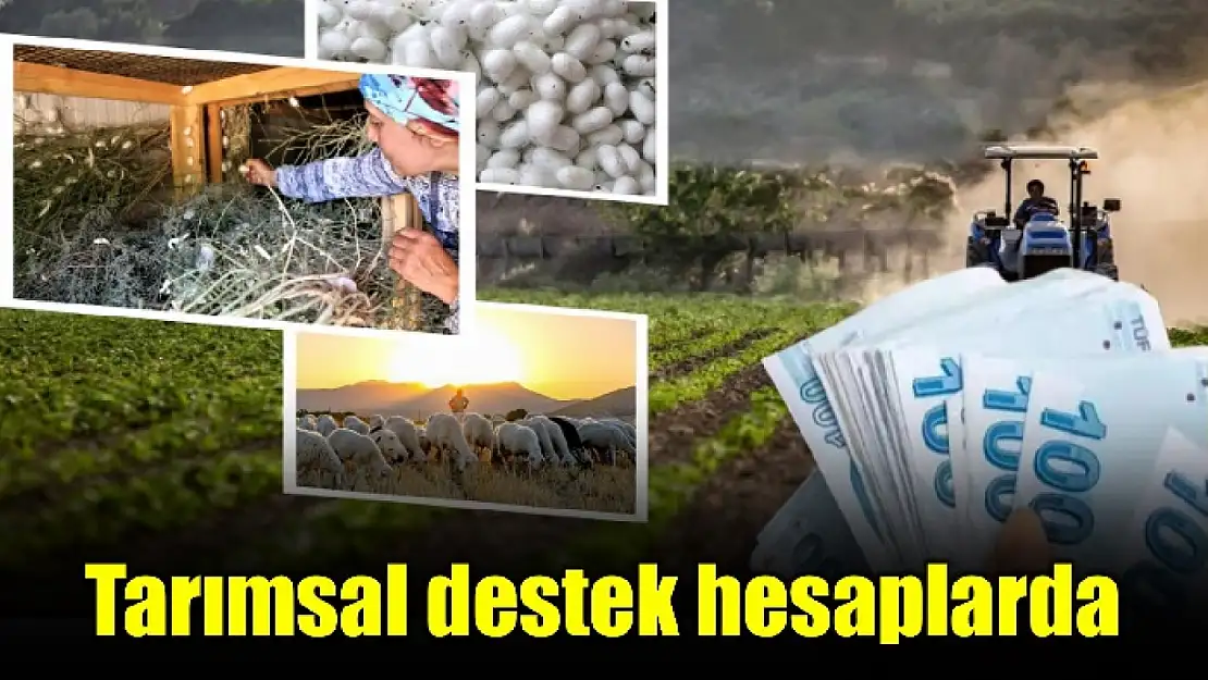 Gençlere ve kadın üreticiye ilave destek