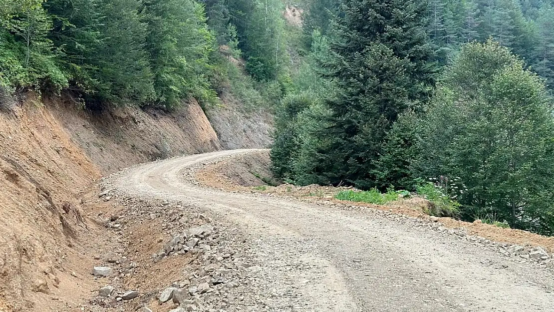 Orman yolu üst yapısı tamamlandı