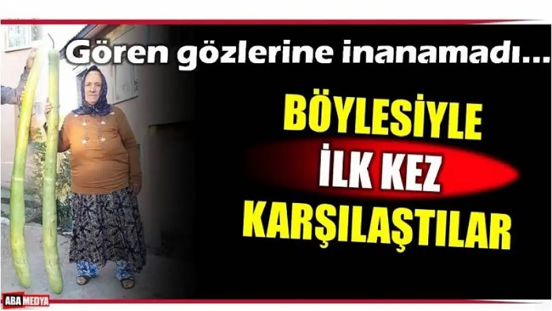 GÖRENLER GÖZLERİNE İNANAMIYOR! BARTIN