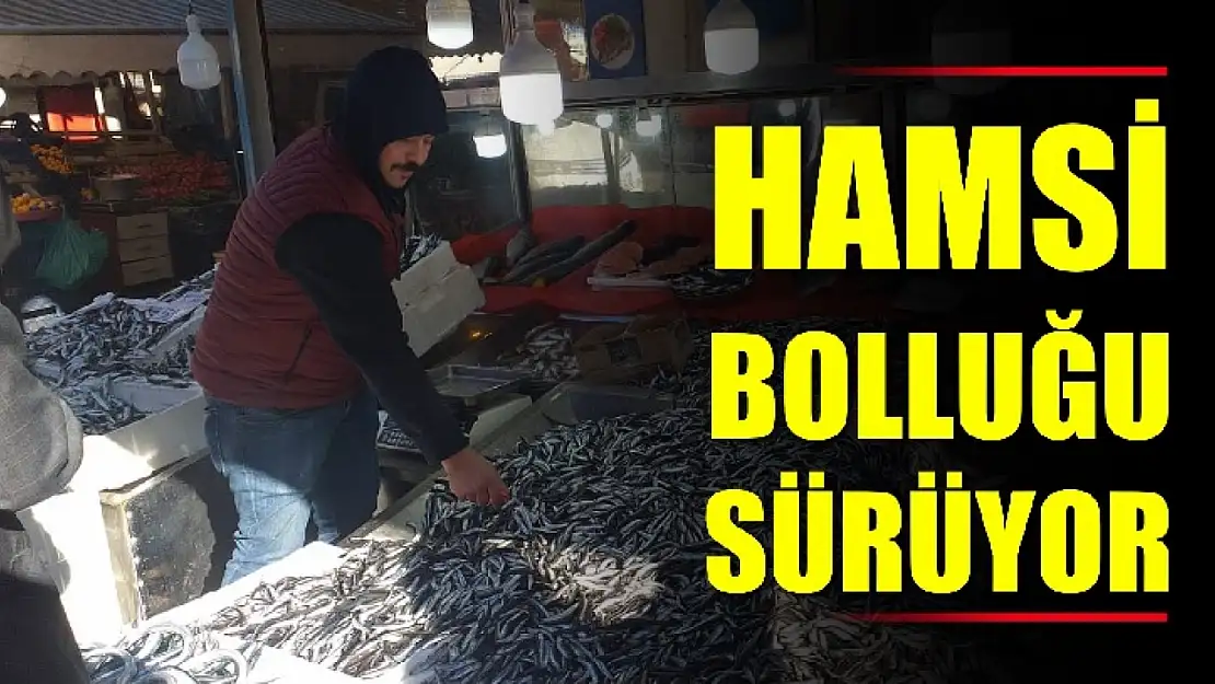 Güncel balık fiyatları bu haberde