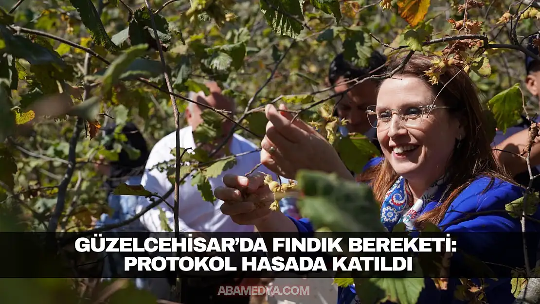 Güzelcehisar'da Fındık Bereketi
