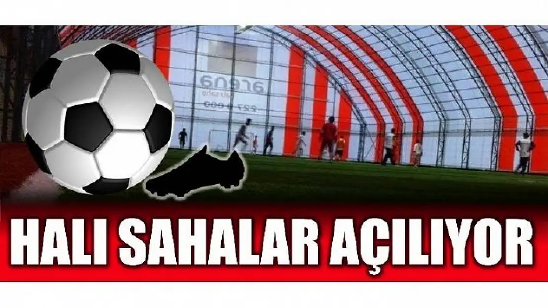 HALI SAHALARA HASRET SONA ERİYOR