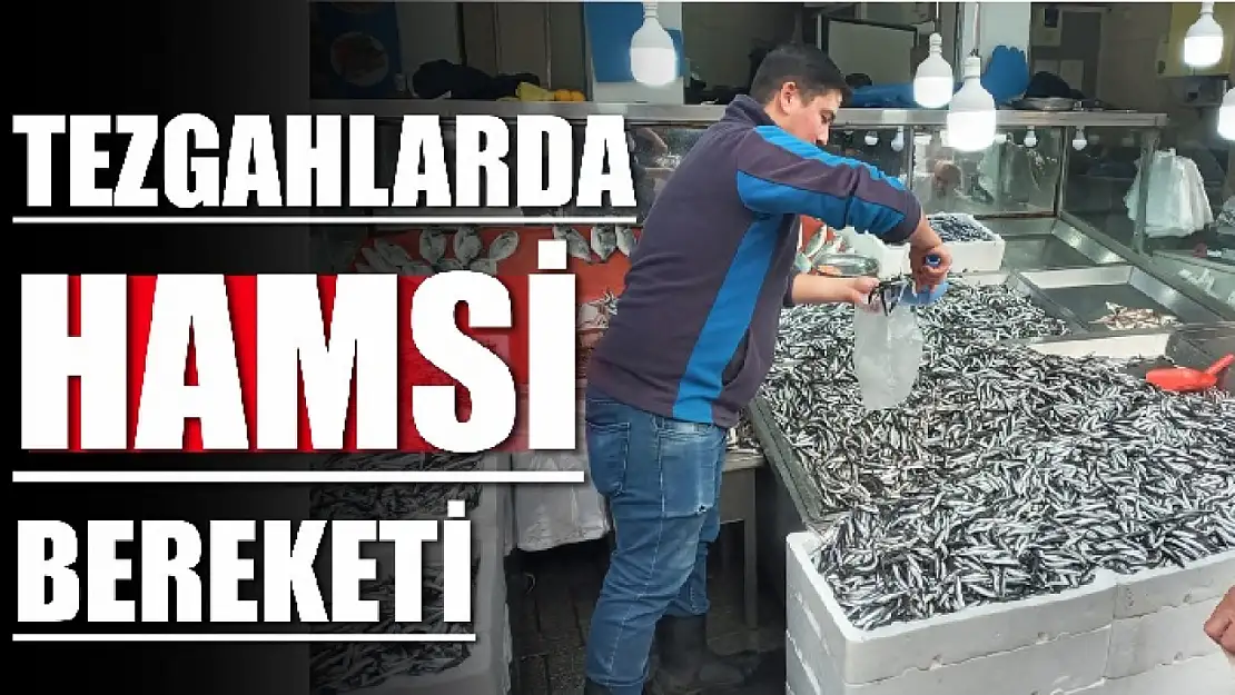 Hamsinin fiyatı düştü