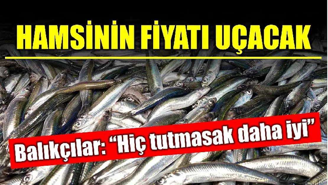 Hamsi fiyatı altınla yarışacak