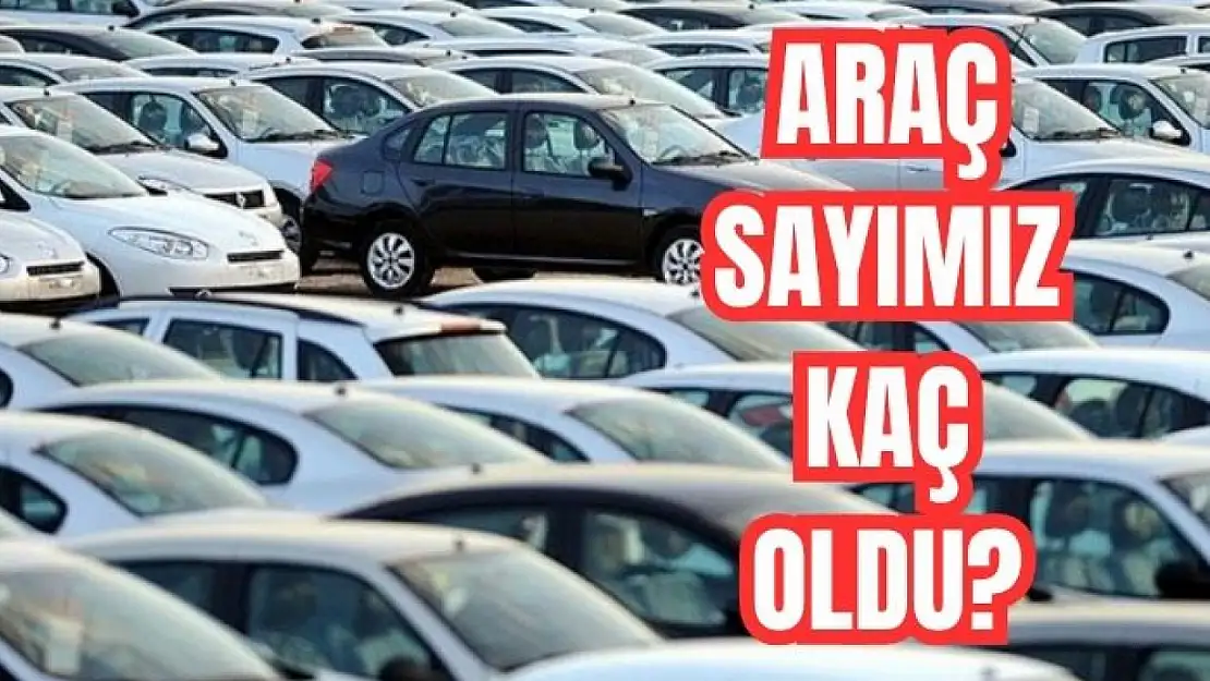 Hangi marka rağbet gördü?