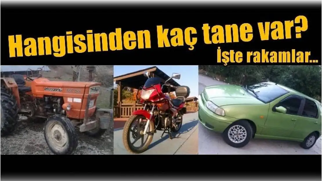 HANGİSİNDEN KAÇ TANE VAR?