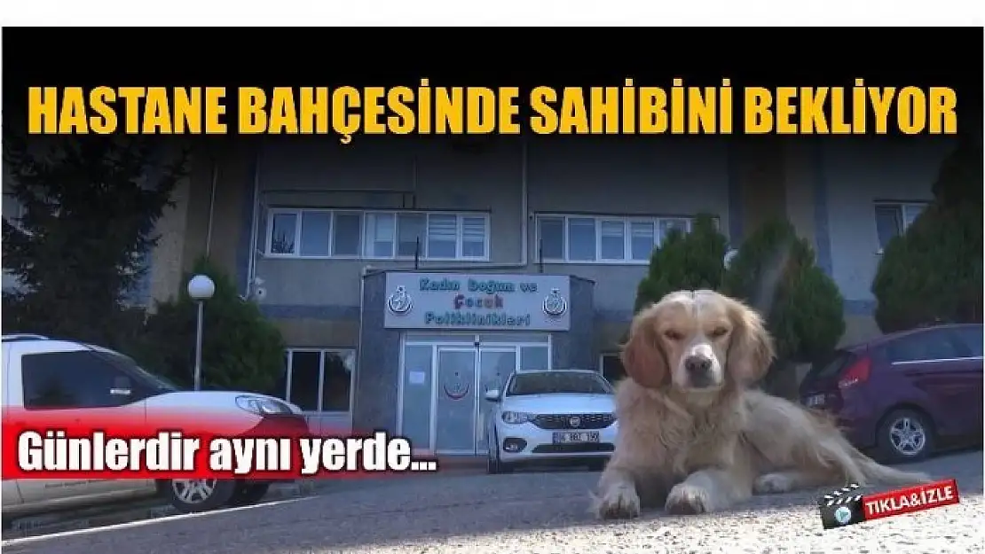 HASTANE ÖNÜNDE SAHİBİNİ BEKLİYOR